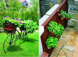 史上最全最美庭院設(shè)計,我和我的伙伴們都驚呆了